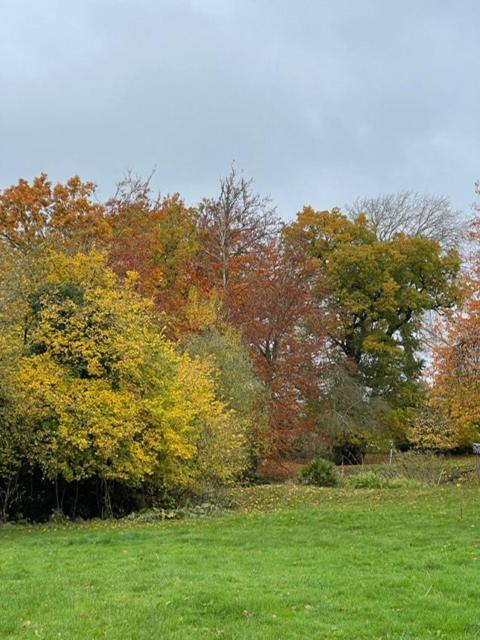 דירות Great Ellingham Old Rectory - Scoulton מראה חיצוני תמונה